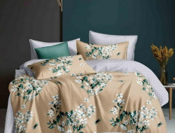 Постельное белье из микросатина TANGO DREAM FLY DF-276-70 70х70 (2шт) семейное