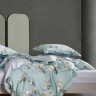 Постельное белье из тенсела ASABELLA 2018-6 50х70 (2шт) и 70х70 (2шт) евро