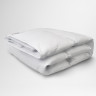 Одеяло пуховое GERMAN GRASS Royal Down Grass всесезонное Light 200х200