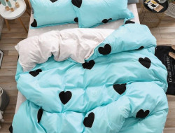 Постельное белье из микросатина TANGO DF-499 DREAM FLY 50х70 (2шт) евро