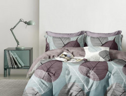 Постельное белье из сатина АЛЬВИТЕК CA-7-722 50х70 (2шт), 70х70 (2шт) семейное