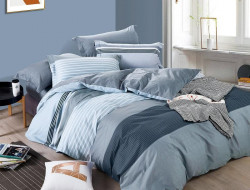 Постельное белье из сатина TANGO TS04-X238 50х70 (2шт), 70х70 (2шт) евро