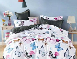 Постельное белье из микросатина TANGO DREAM FLY DF-334-50 50х70 (2шт) семейное