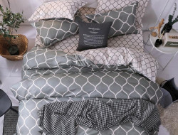 Постельное белье из микросатина TANGO DREAM FLY DF-498 50х70 (2шт) евро