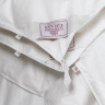Одеяло GERMAN GRASS ALLIANCE DOWN Light and TENCEL GRASS двойное 200х200