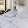 Подушка с бортиком GERMAN GRASS WHITE FAMILIE DOWN 50х90 средняя