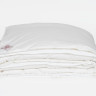 Одеяло GERMAN GRASS ALLIANCE DOWN Light and SILK GRASS двойное 200х200