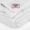 Одеяло пуховое кассетное GERMAN GRASS SILVER DOWN GRASS всесезонное Light 200х220