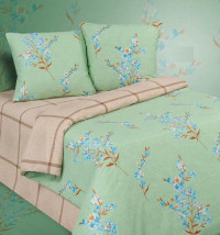 Постельное белье из поплина двухстороннее АЛЬВИТЕК ПА-711 евро