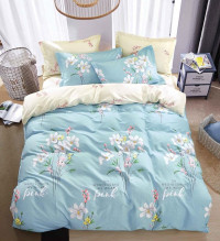 Постельное белье двухстороннее из твила TANGO TPIG5-1296-70 70х70 (2шт) семейное