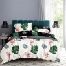 Постельное белье из микросатина TANGO DREAM FLY DF-428-70 70х70 (2шт) семейное