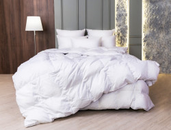 Одеяло кассетное GERMAN GRASS WHITE FAMILIE DOWN 240х260 всесезонное