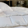 Одеяло кассетное GERMAN GRASS WHITE FAMILIE DOWN 200х200 всесезонное