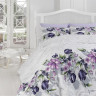Постельное белье из ранфорса KARVEN N022 RIELLA LILAC 50х70 (1шт), 70х70 (1шт) 1,5-спальное
