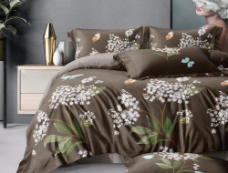 Постельное белье из сатина АЛЬВИТЕК CA-1-708 70х70 (2шт) 1,5-спальное