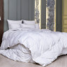 Одеяло кассетное GERMAN GRASS WHITE FAMILIE DOWN 155х200 всесезонное