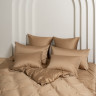 Постельное белье с простыней на резинке 160х200 GERMAN GRASS SAND BRILLIANT GRASS 70х70 (2шт) евро