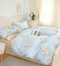 Постельное белье из твил-сатина в ПВХ TANGO стинале 50х70 (2шт) евро