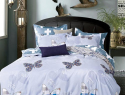 Постельное белье из микросатина TANGO DREAM FLY DF-225-70 70х70 (2шт) семейное