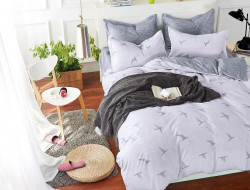 Постельное белье из микросатина TANGO DREAM FLY DF-237-50 50х70 (2шт) семейное