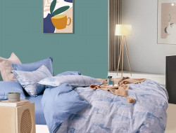 Постельное белье из твила TANGO TPIG6-1827 50х70 (2шт), 70х70 (2шт) евро