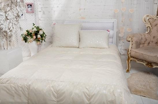 Одеяло пуховое Легкие Сны ТЕССА 200х220 всесезонное