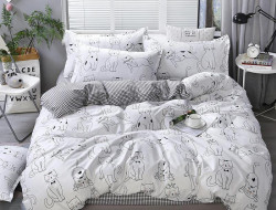 Постельное белье из микросатина TANGO DREAM FLY DF-442-70 70х70 (2шт) 2-спальное