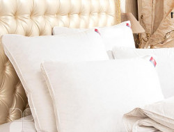 Подушка пуховая в тике Легкие Сны КАМИЛЛА 50х68х4 мягкая