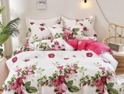 Постельное белье из твила в ПВХ TANGO роузи 50х70 (2шт) евро