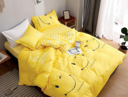 Постельное белье из микросатина TANGO DREAM FLY DF-45 50х70 (2шт) евро