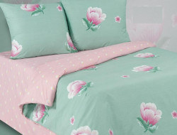 Постельное белье из поплина двухстороннее АЛЬВИТЕК ПА-3-735 евро