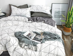 Постельное белье из микросатина TANGO DREAM FLY DF-179-50 50х70 (2шт) семейное