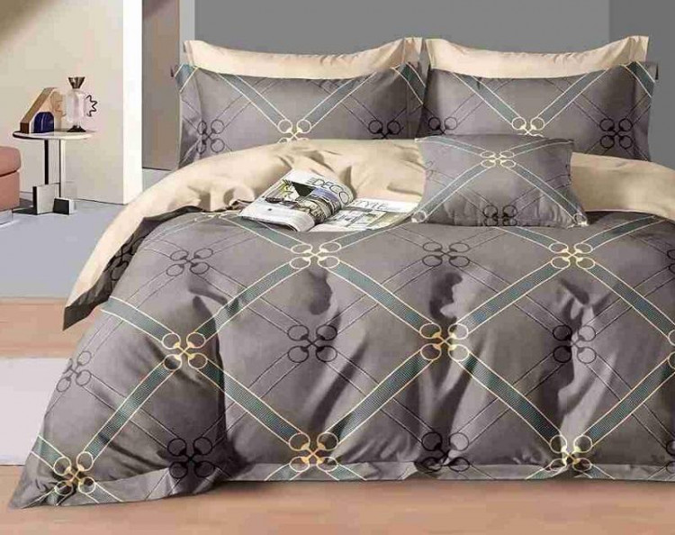 Постельное белье из сатина АЛЬВИТЕК CA-1-731 70х70 (2шт) 1,5-спальное