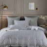 Постельное белье из египетского хлопка Premium ASABELLA 2111-6 50х70 (2шт) и 70х70 (2шт) евро